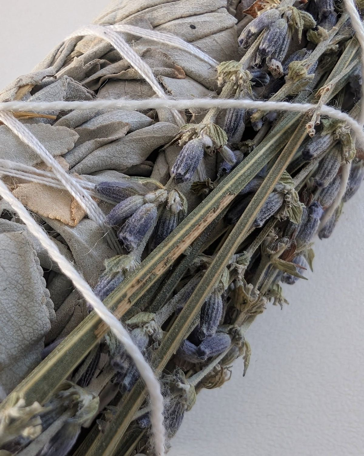 Lavender sage