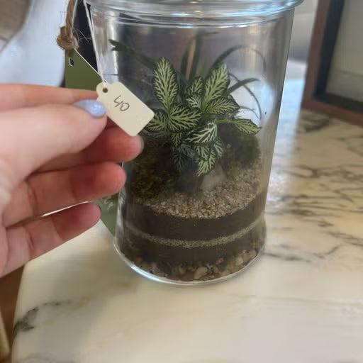 The Gorge Terrarium - Medium