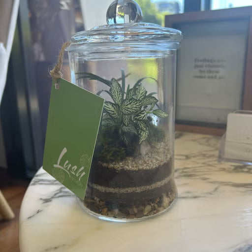 The Gorge Terrarium - Medium