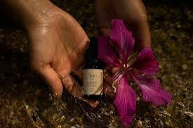 AMU: BEYOND | Super 13 Oil Serum 15ml