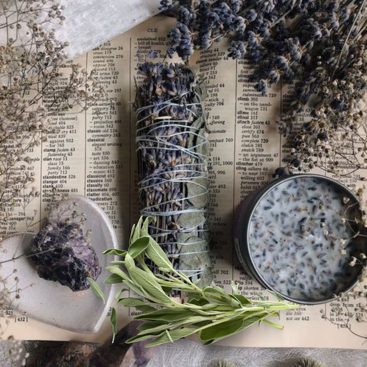 Lavender sage