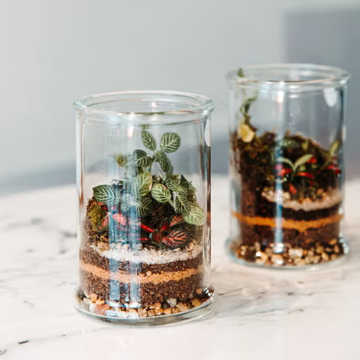 Little Gorge Terrarium - Small