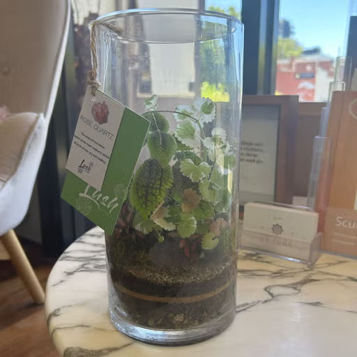 Flinders Terrarium - Large + Rose Quartz