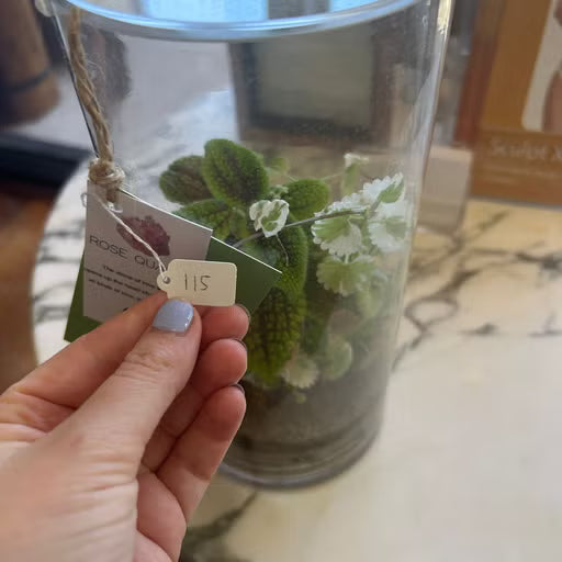Flinders Terrarium - Large + Rose Quartz